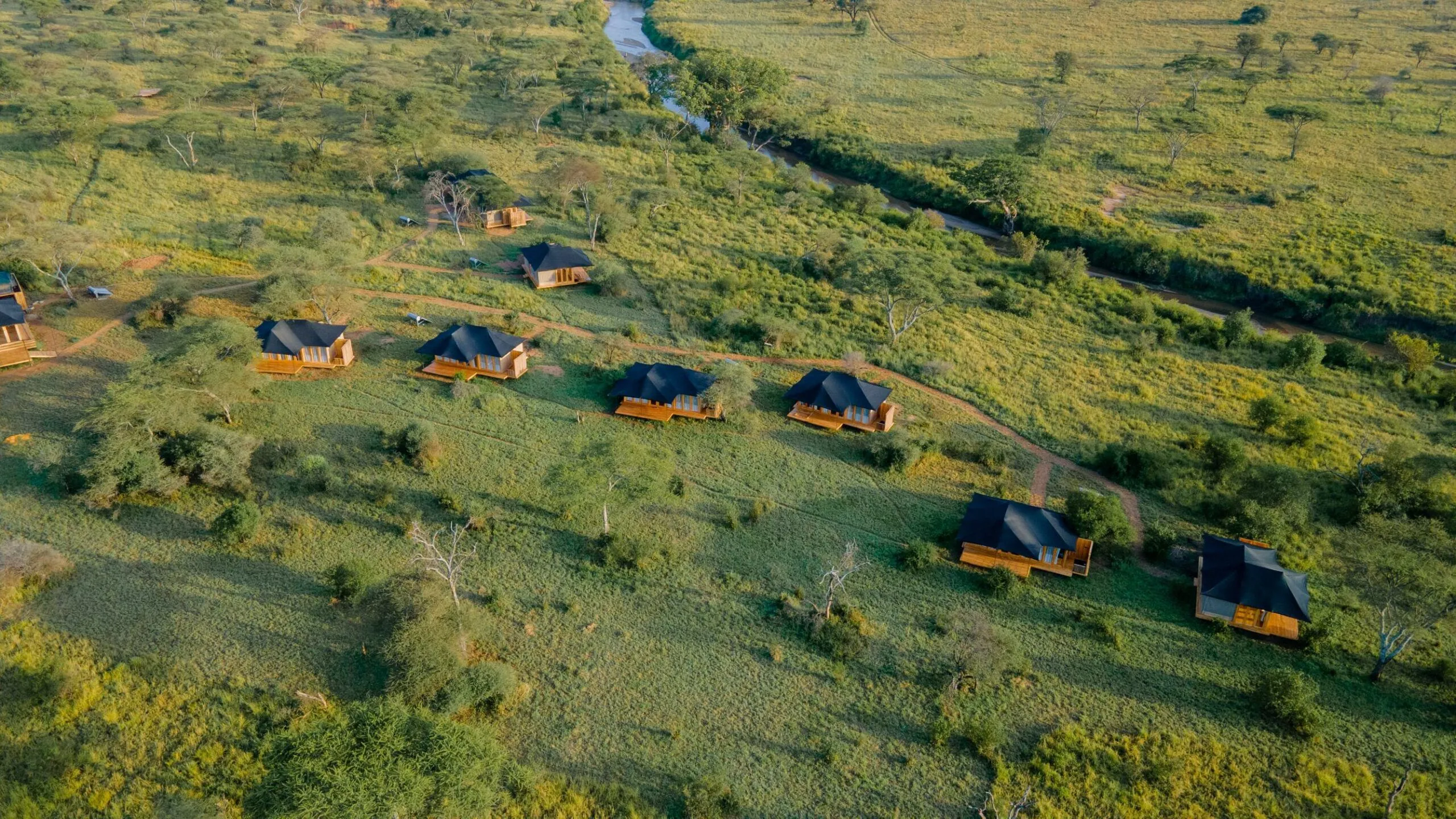 Baobab Central Serengeti Camp -  Central Serengeti