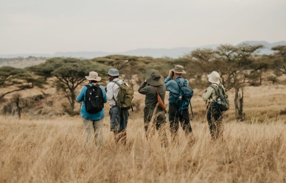 Safari-Frank-Serengeti-Walking-Camp-Wayo-Tanzania16-1920x1080