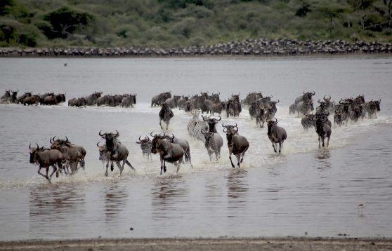 Serengeti National Park