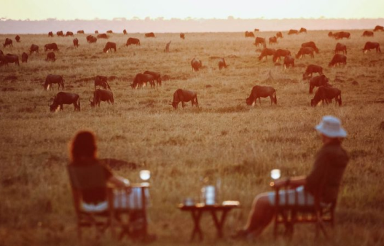 image_2025-11-14_110633648